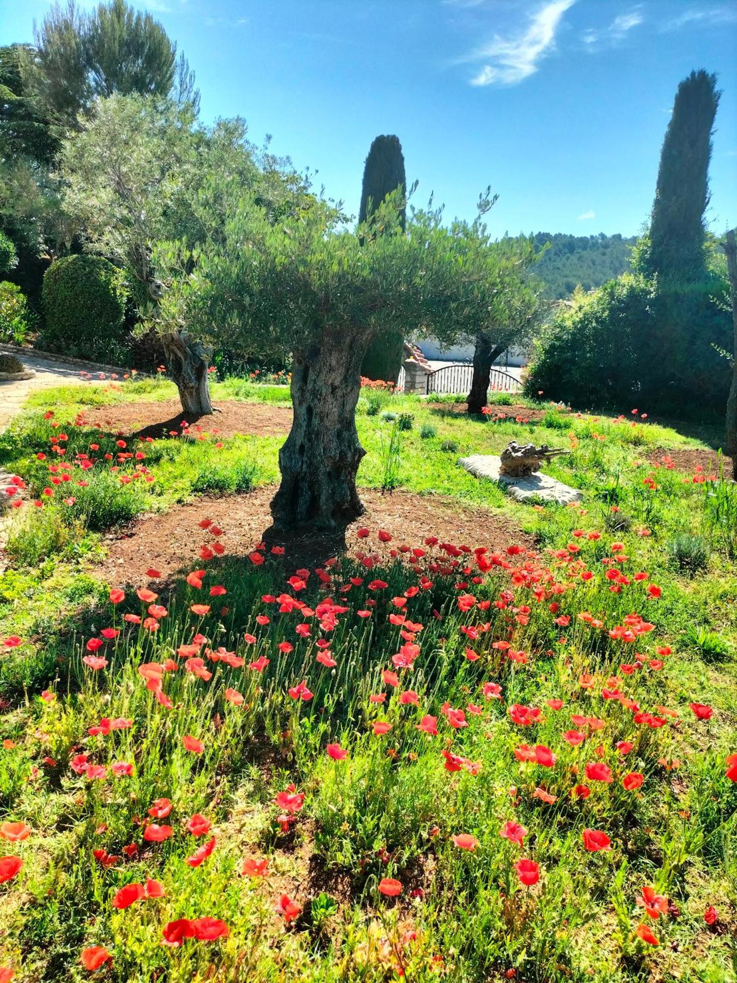 Vacances Carnoux-en-Provence Bagian luar foto